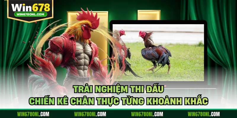 Đá Gà WIN678 - Hôm Nay Nóng Bỏng Với Trận Đấu Đỉnh Cao 1 Trải nghiệm thi đấu chiến kê chân thực từng khoảnh khắc